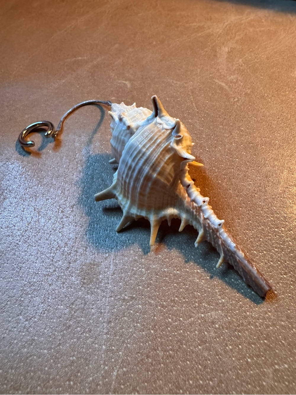 Shell earcuff earring single 🐚
